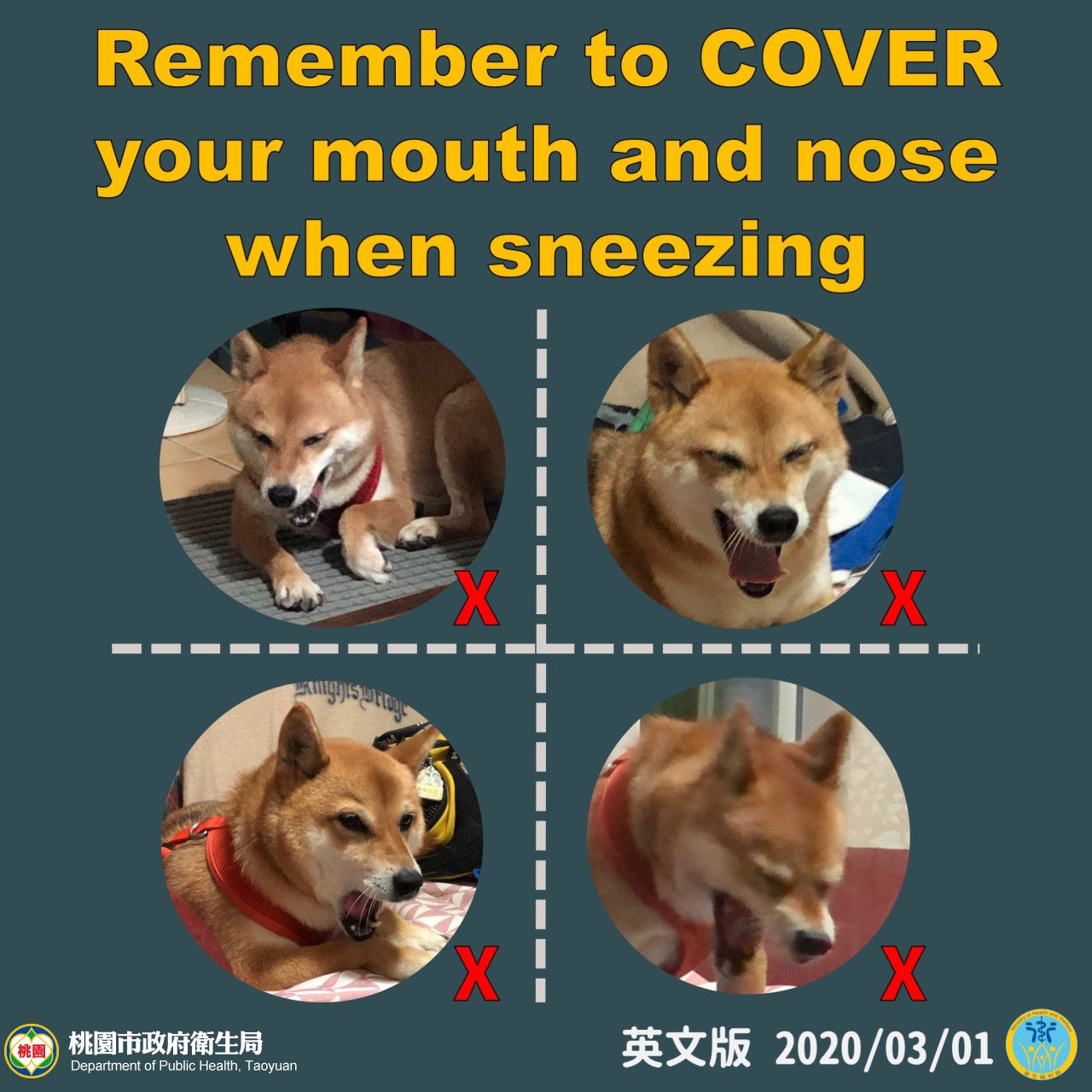 Remember to Cover your mouth and nose when sneezing