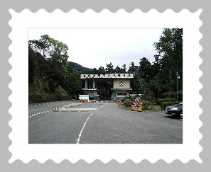 東眼山森林遊樂區