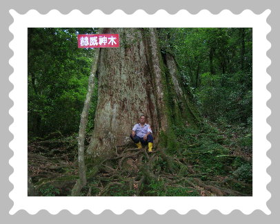 轄區特性-赫威神木區